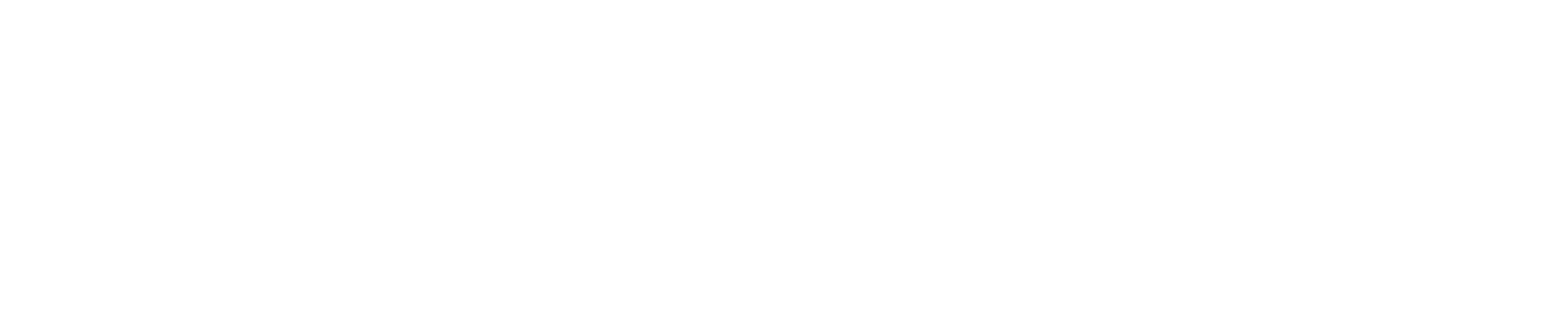 BD Computing LLC